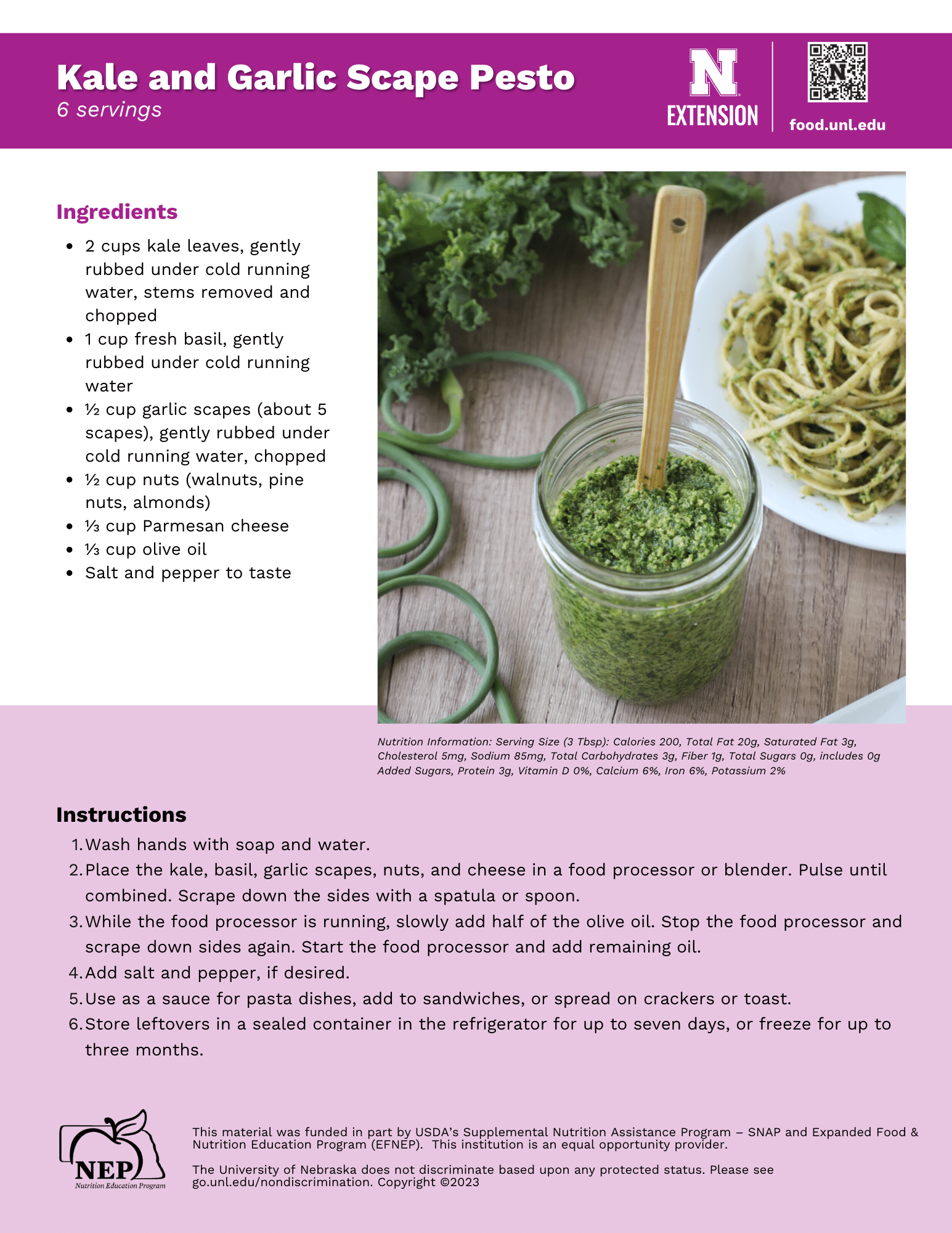Kale and Garlic Scape Pesto Recipe Handout