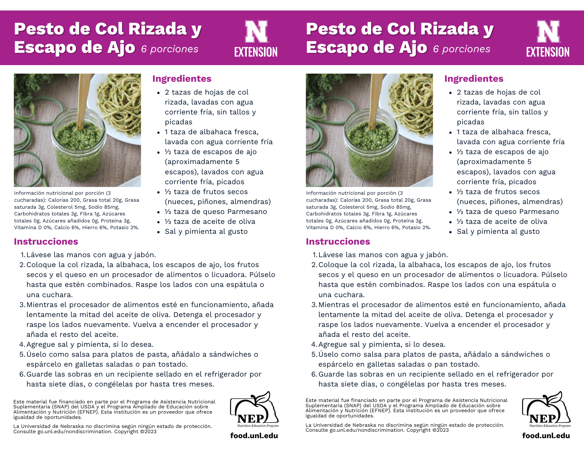 Kale and Garlic Scape Pesto Recipe Handouts - Spanish