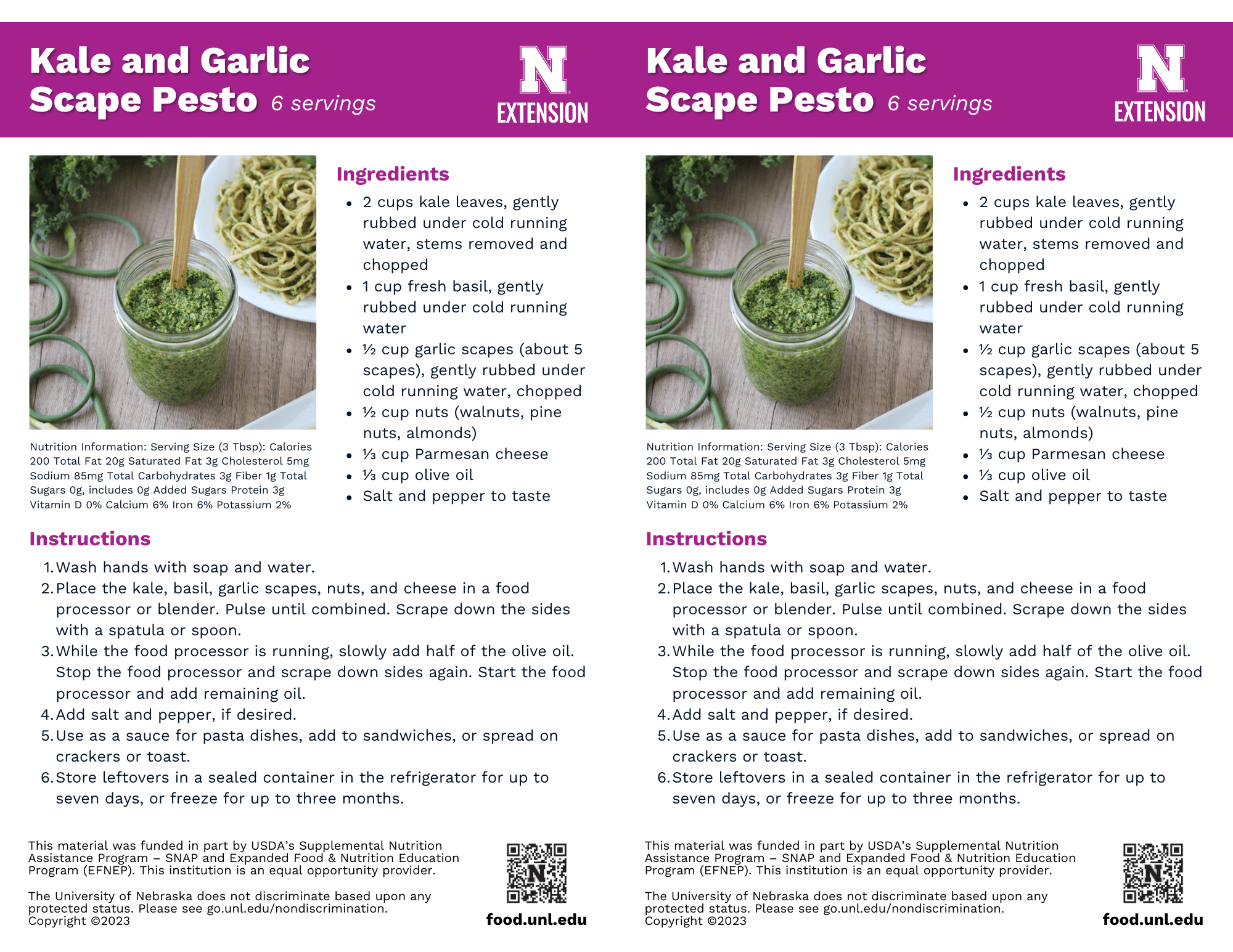 Kale and Garlic Scape Pesto Recipe Handouts