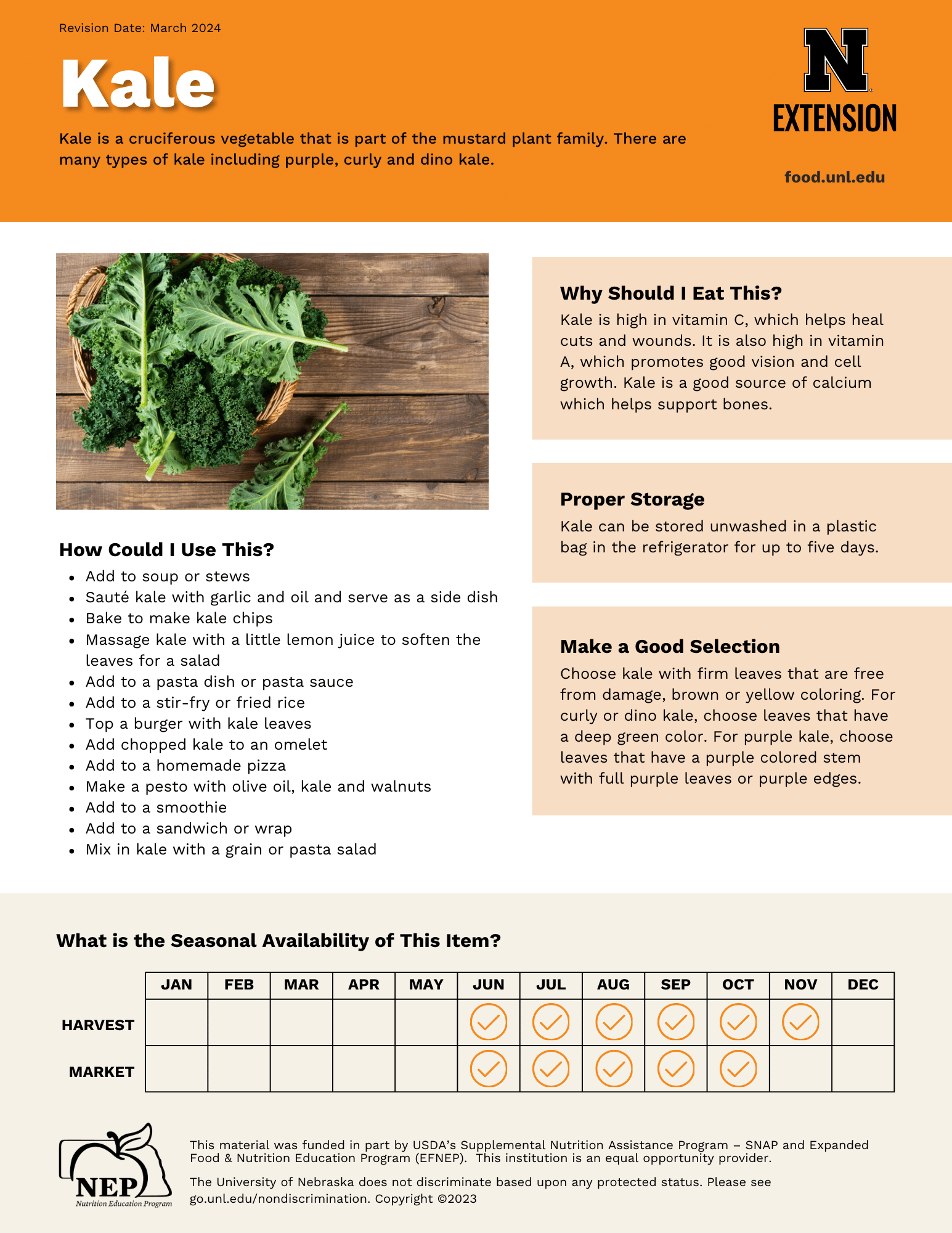 Kale Handout