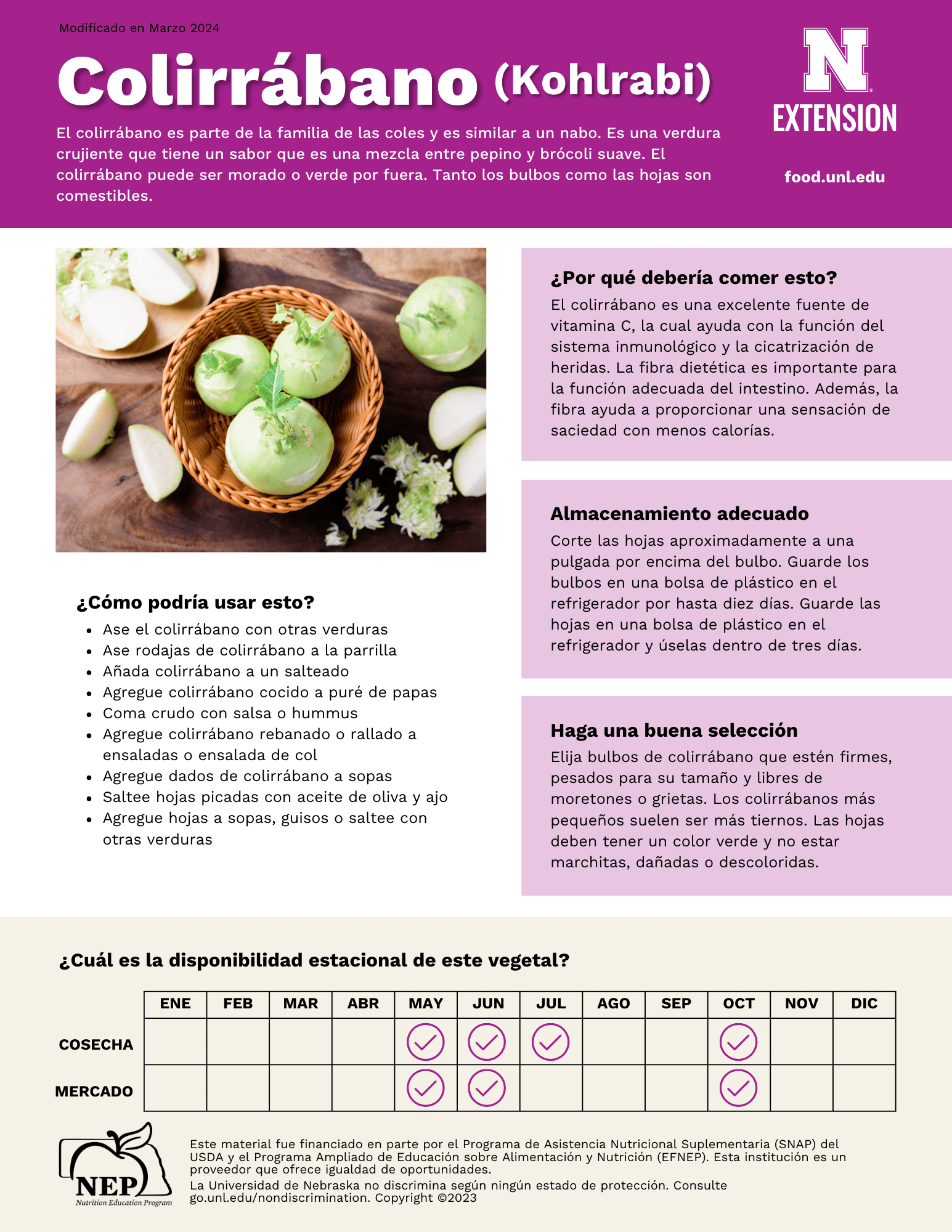 Kohlrabi Handout - Spanish