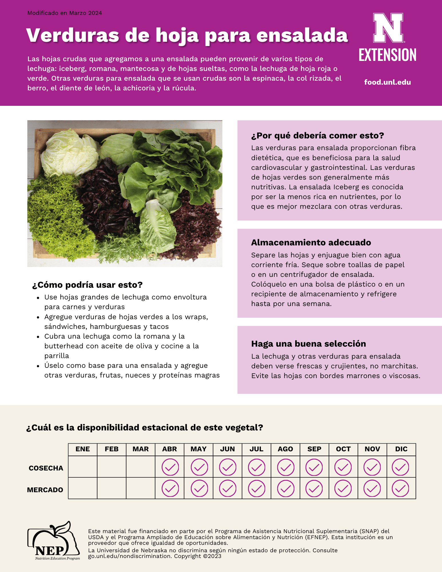 Leafy Salad Greens Handout - Spanish