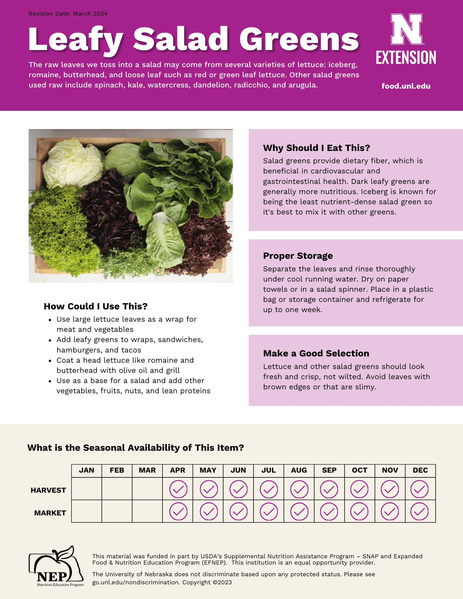 Leafy Salad Greens Handout