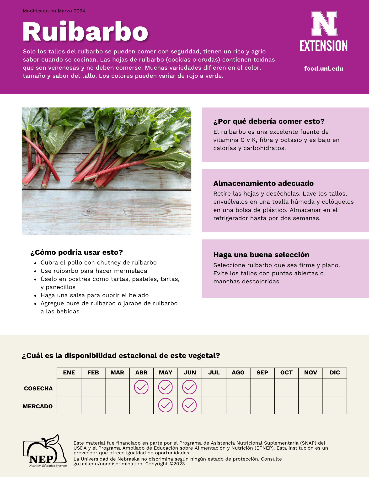 Rhubarb Handout - Spanish