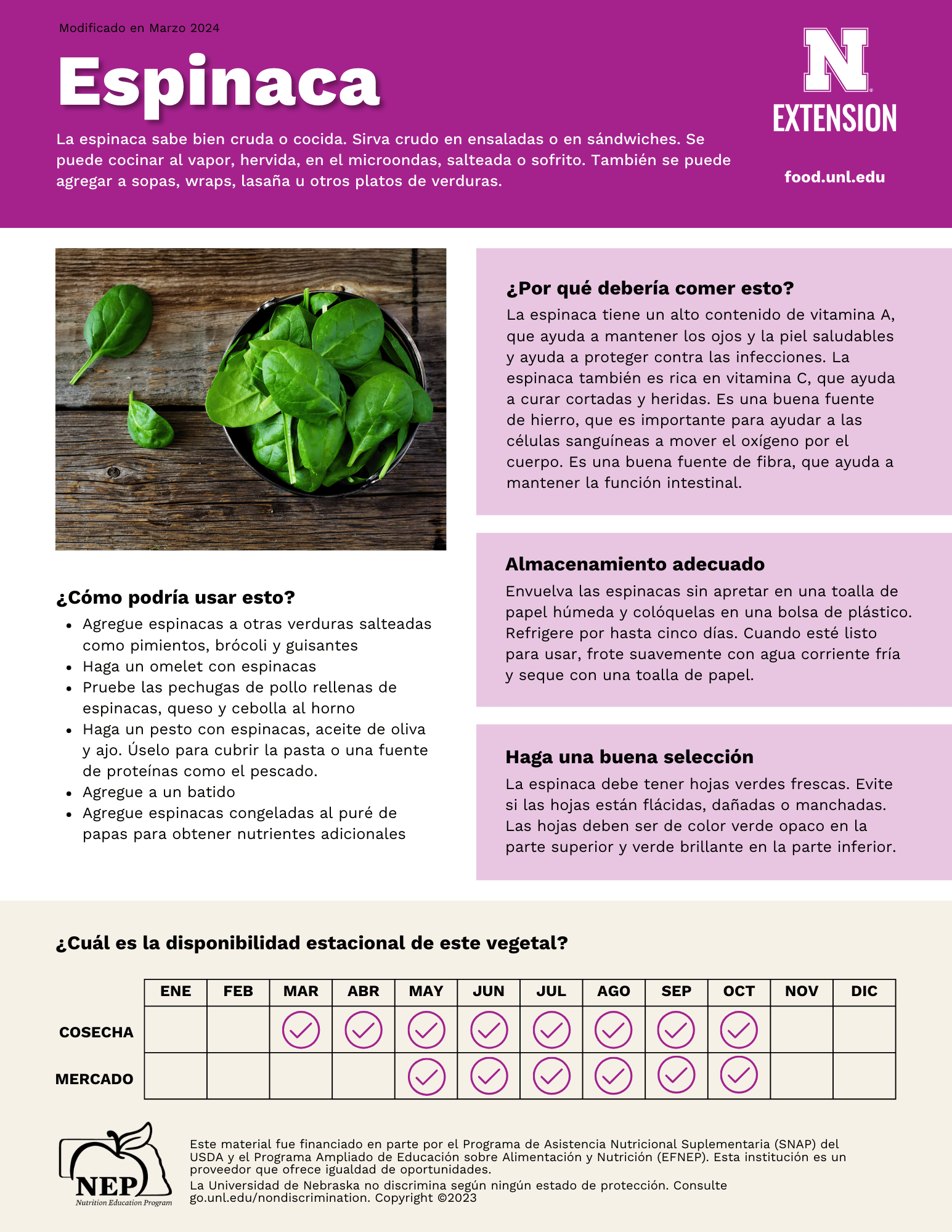 Spinach Handout - Spanish