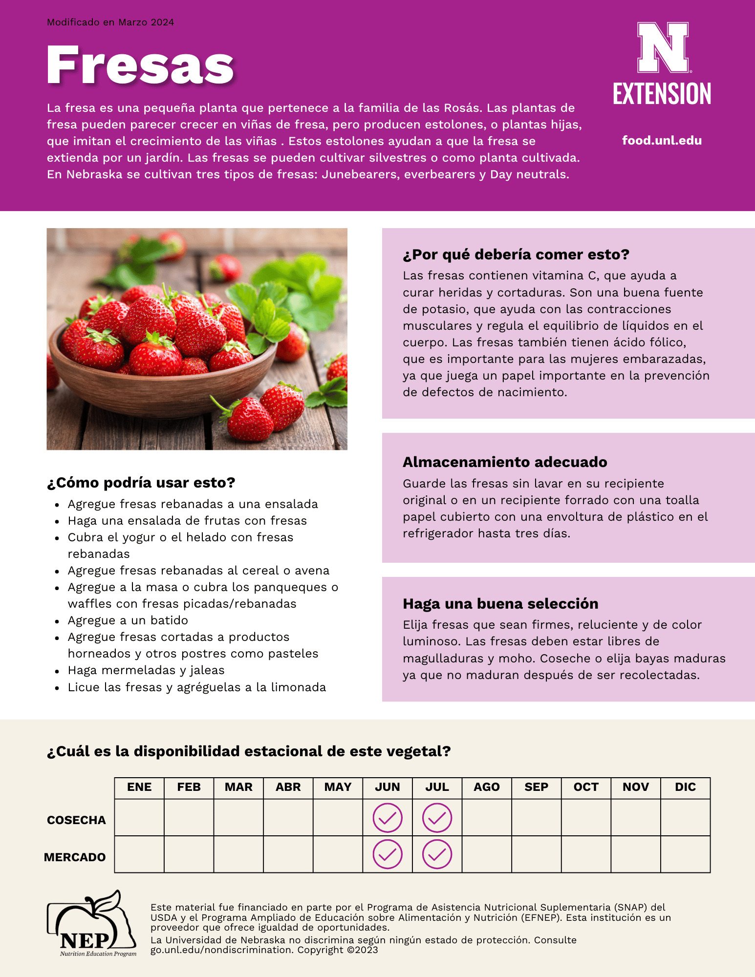 Strawberries Handout - Spanish