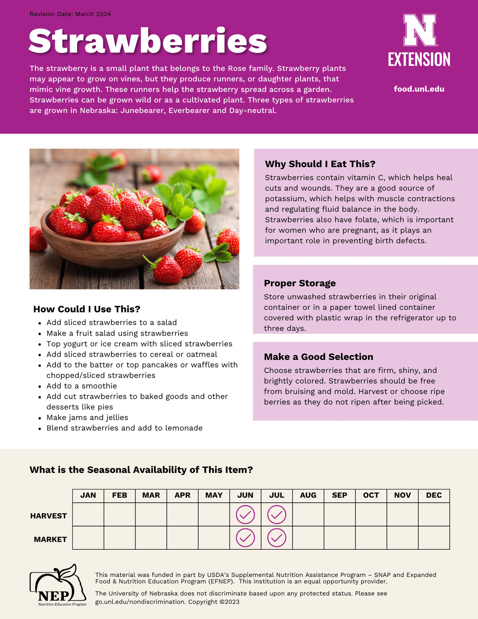 Strawberries Handout