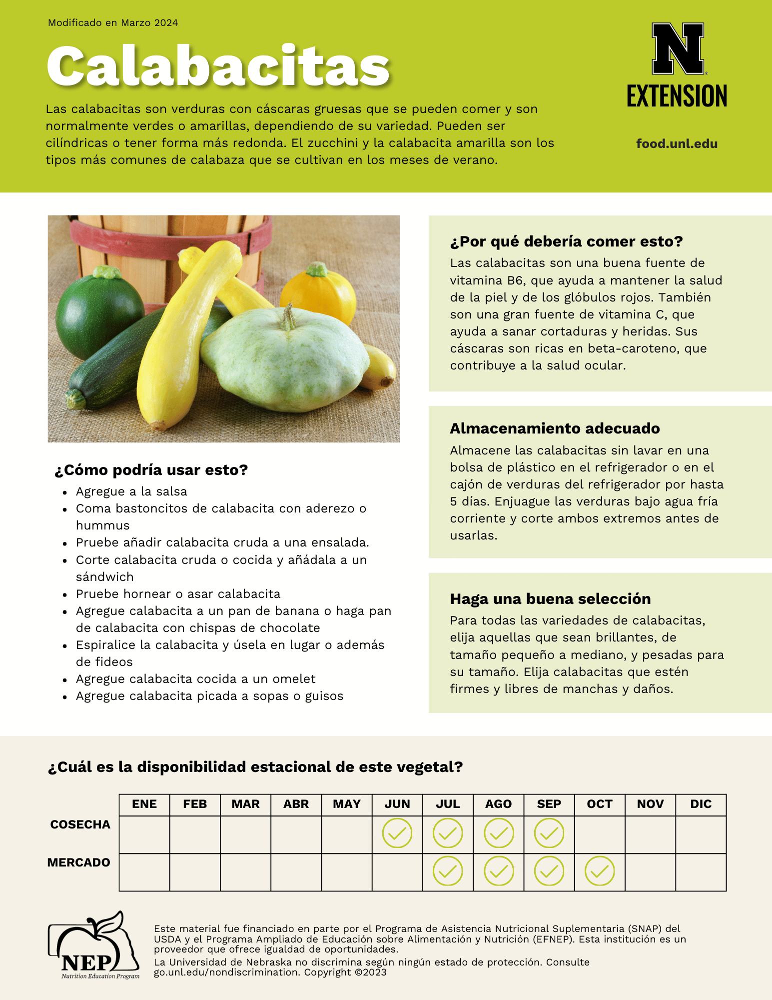 Summer Squash Handout - Spanish
