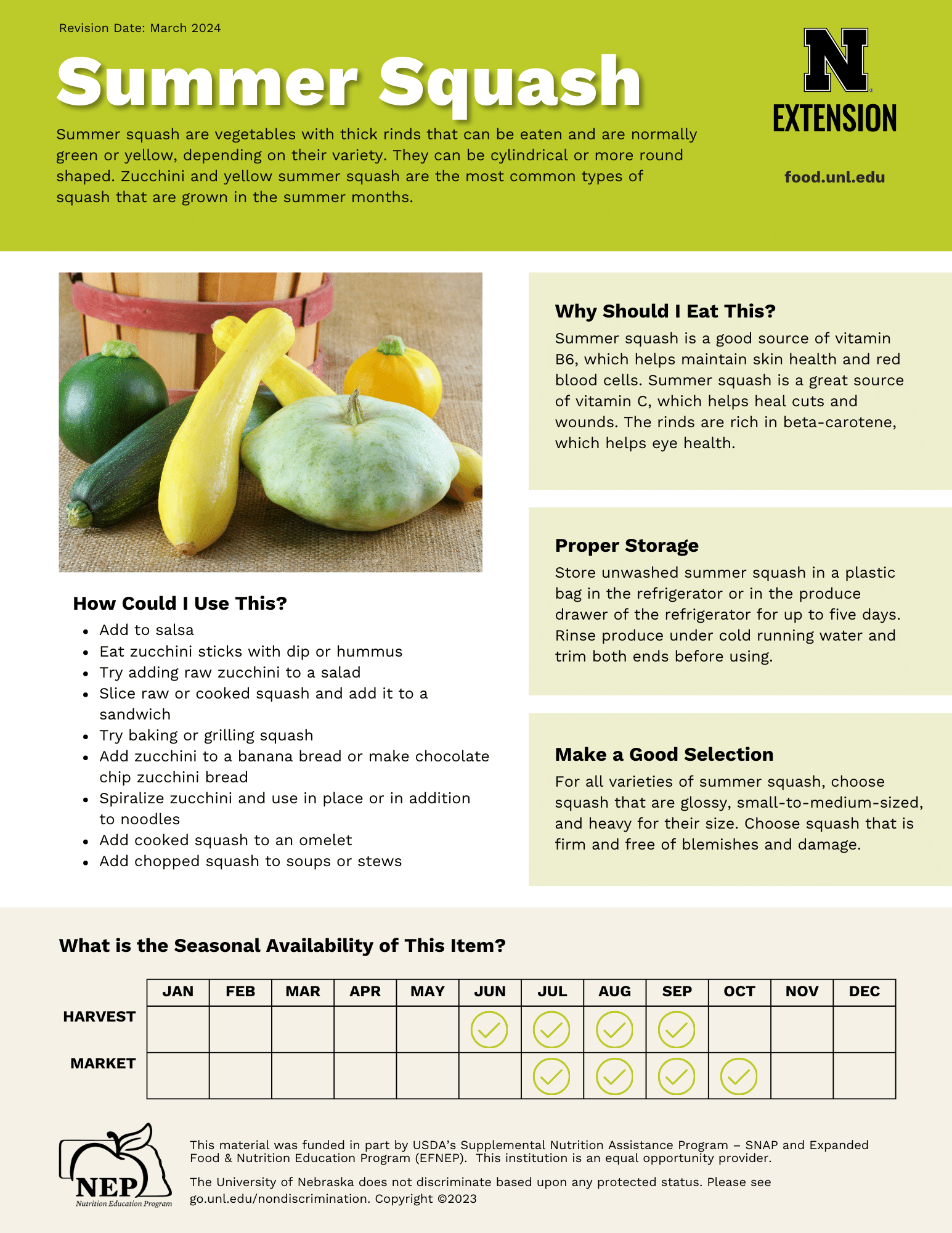 Summer Squash Handout