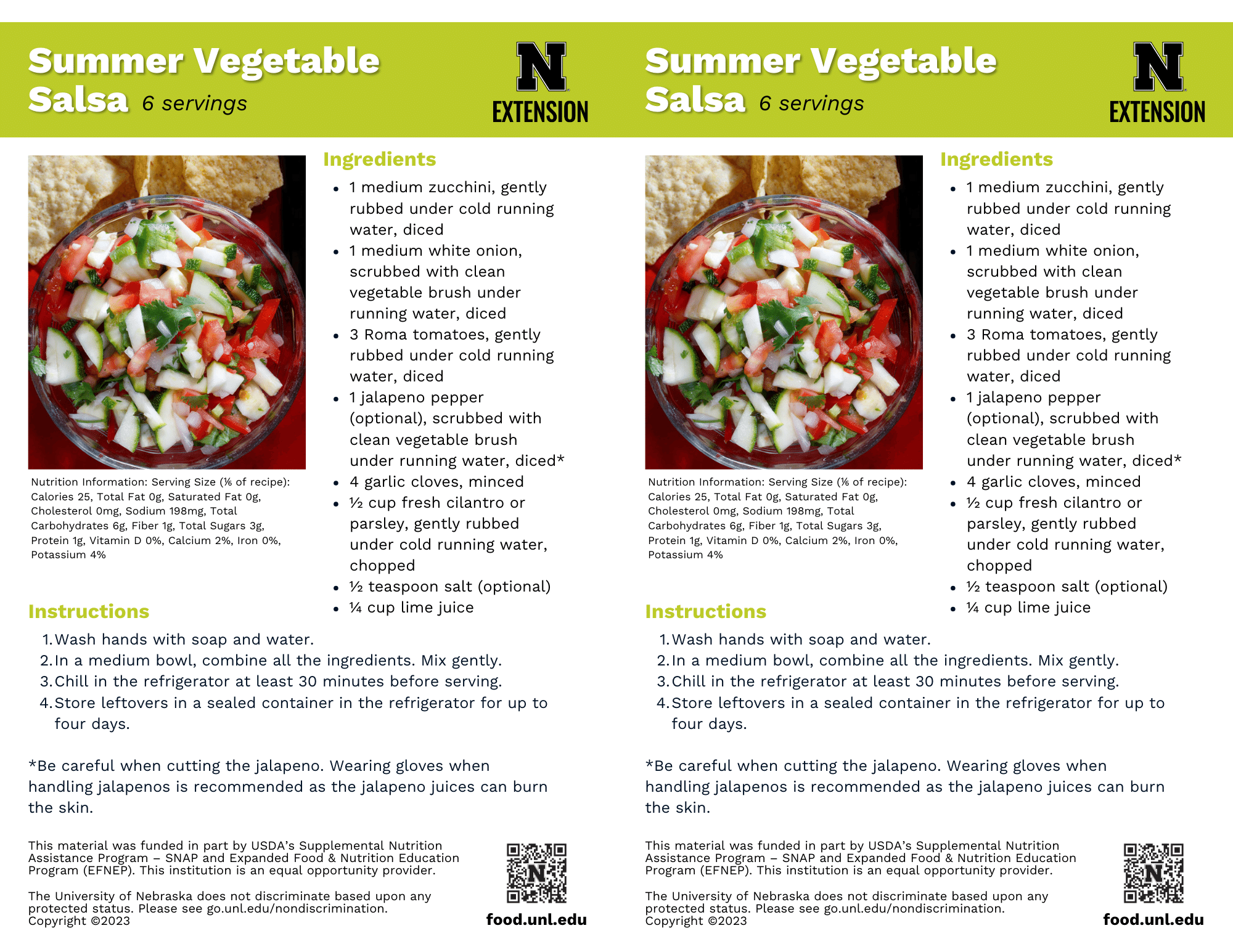 Summer Vegetable Salsa Recipe Handouts