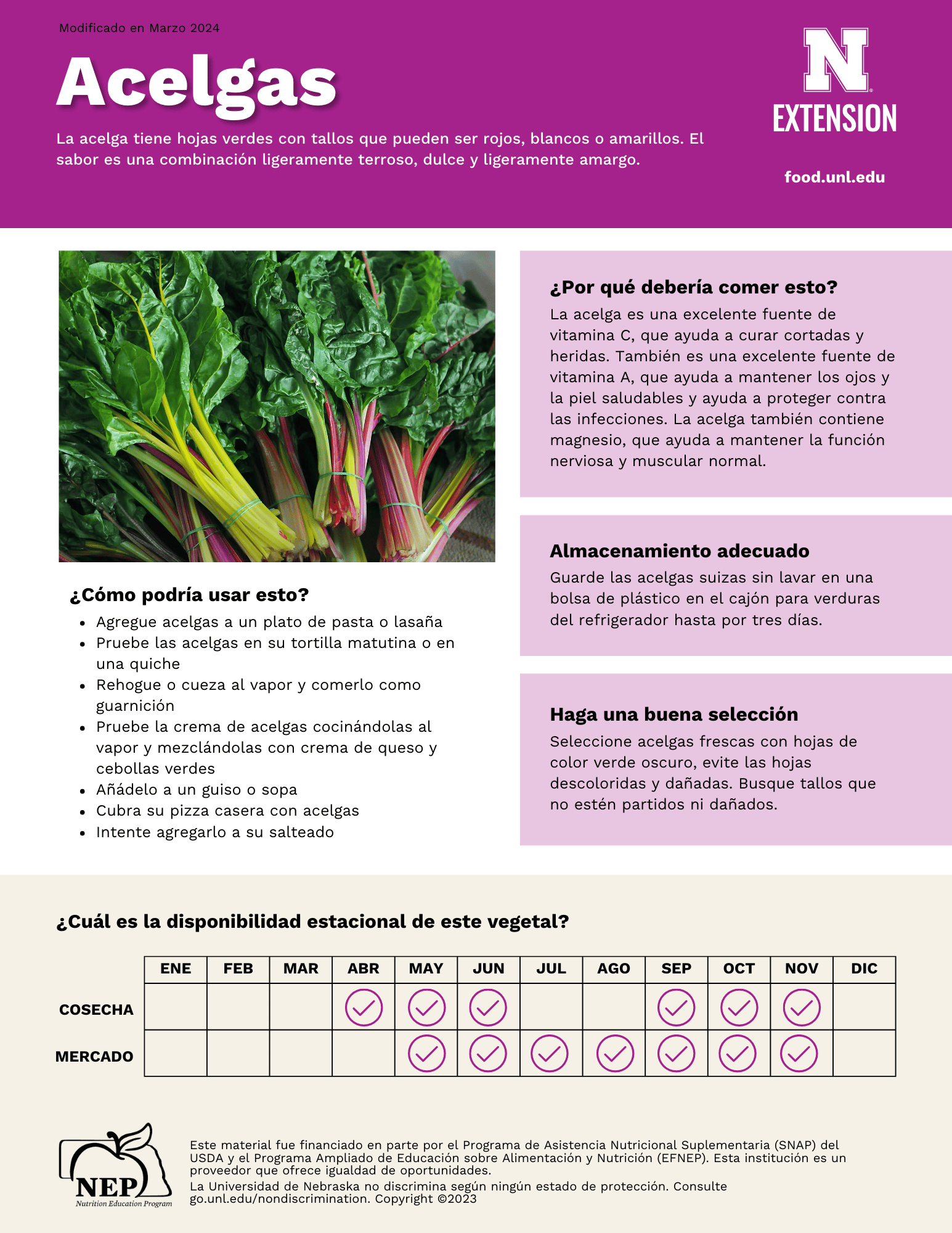Swiss Chard Handout - Spanish