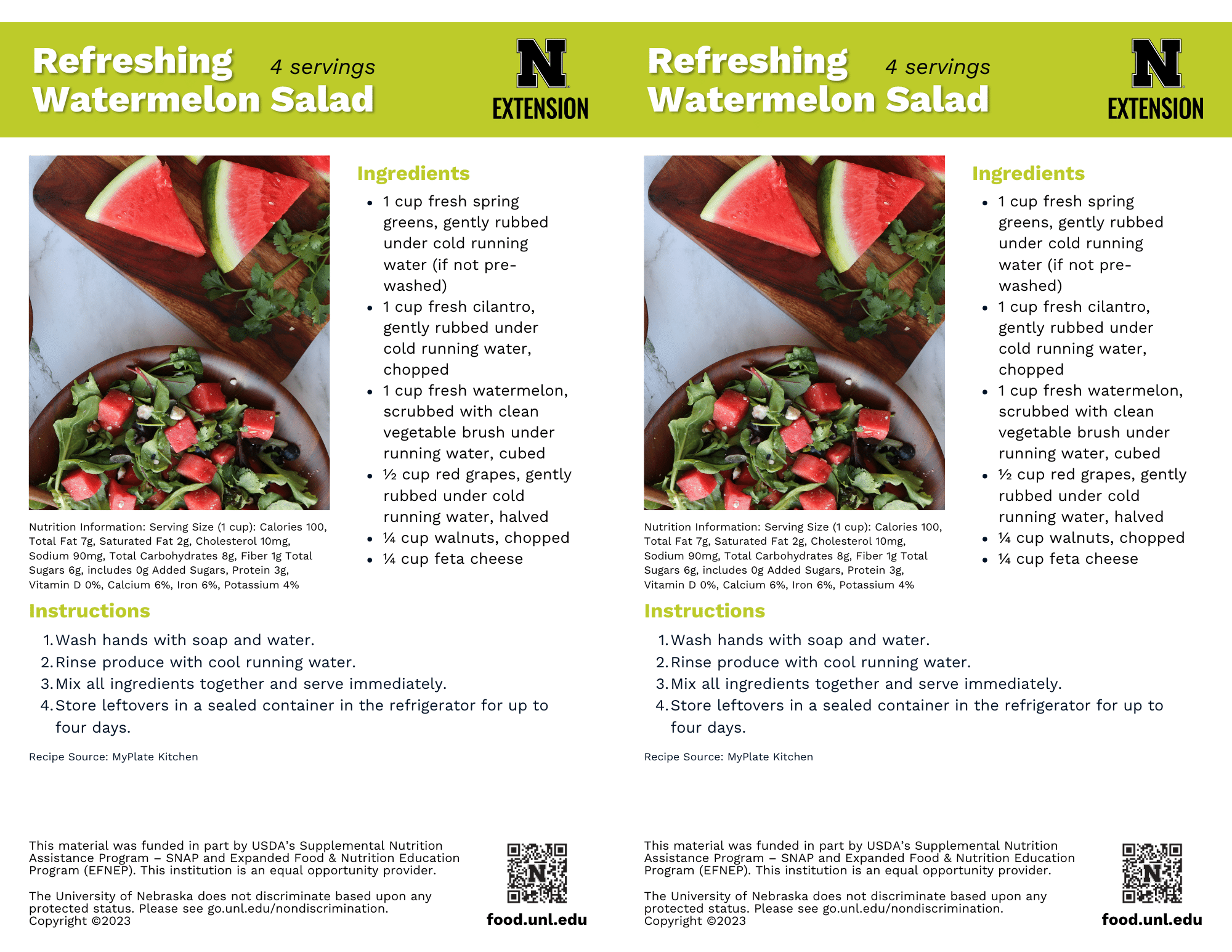 Refreshing Watermelon Salad Recipe Handouts