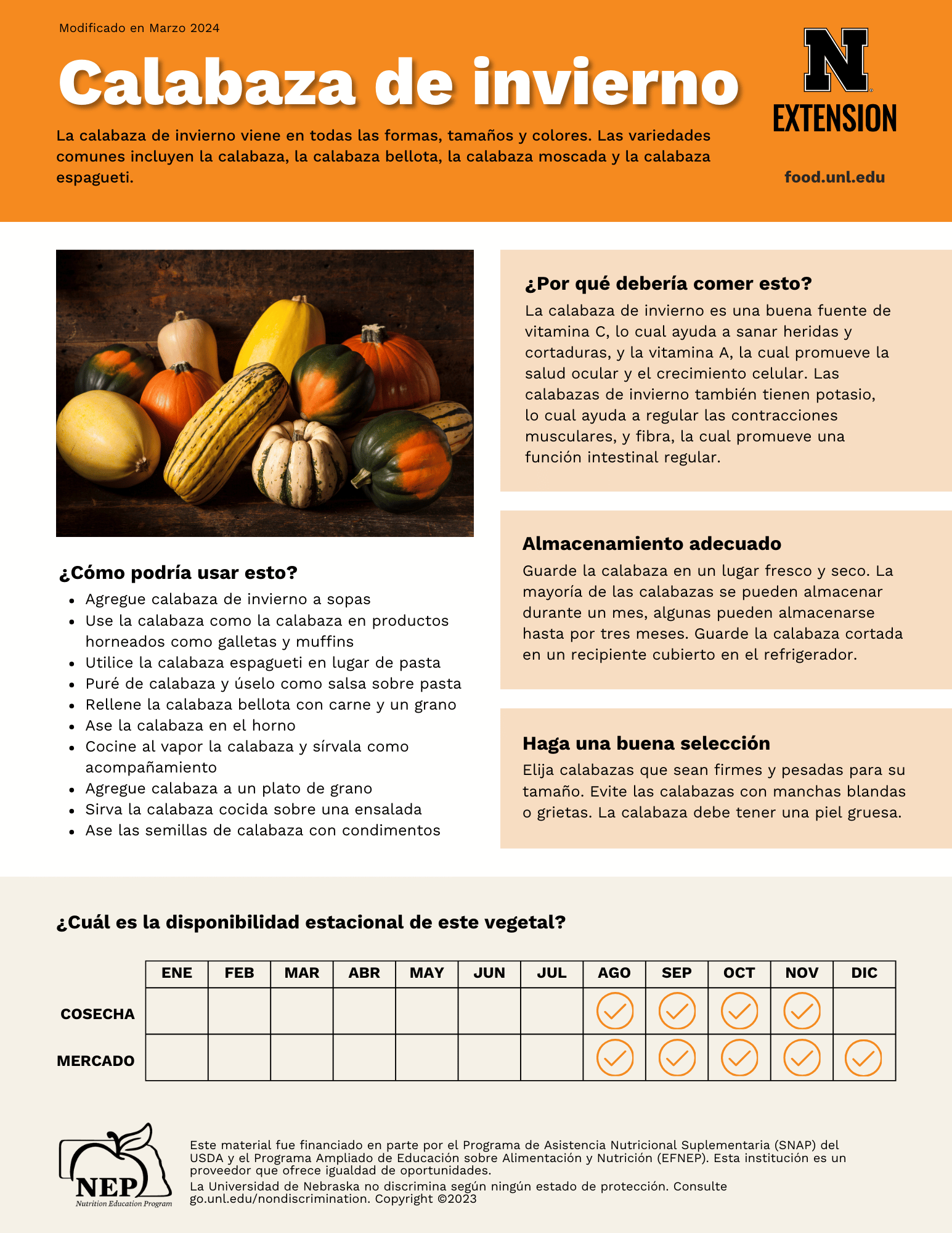 Winter Squash Handout - Spanish