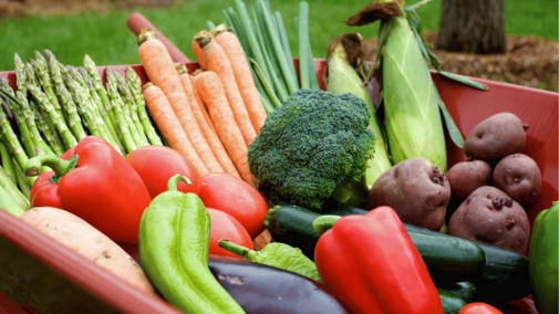 variety of fresh vegetables such as bell peppers, corn, potatoes, broccoli, and cucumbers in a wheel barrow