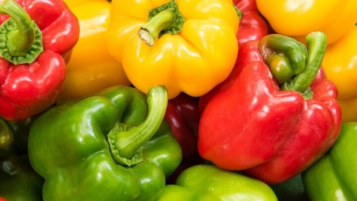 Colorful Bell Peppers