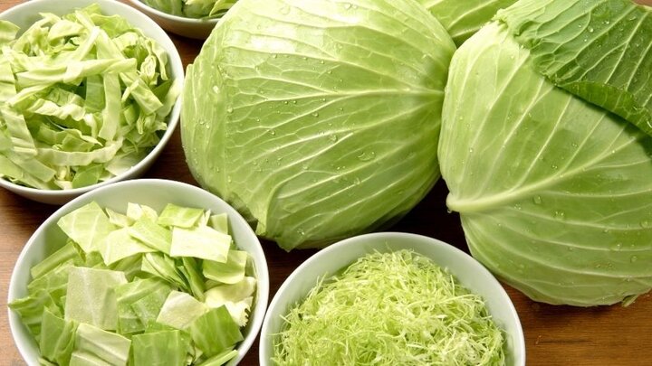 cabbage