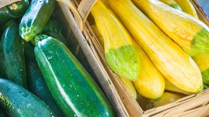 zucchini and yellow summer squash