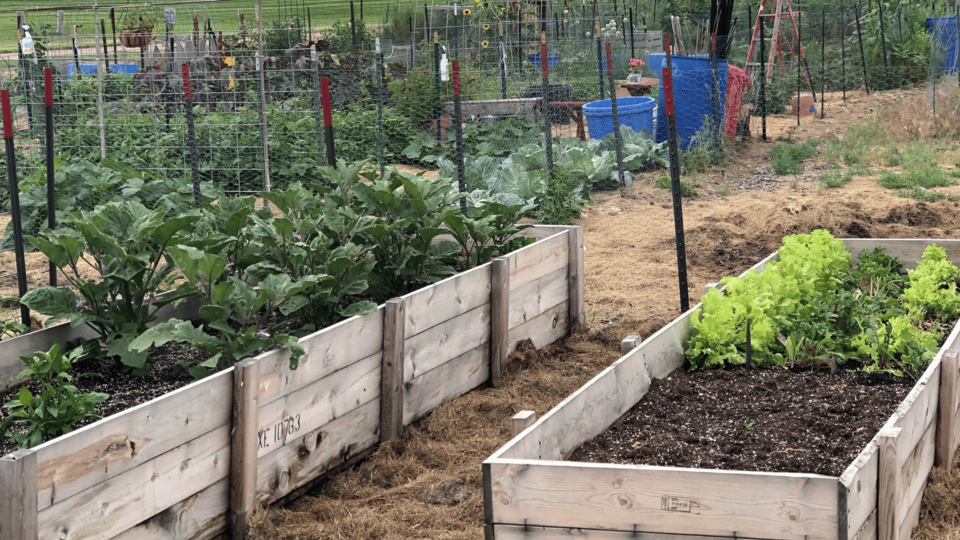 raised garden beds for the Growing Together Nebraska program