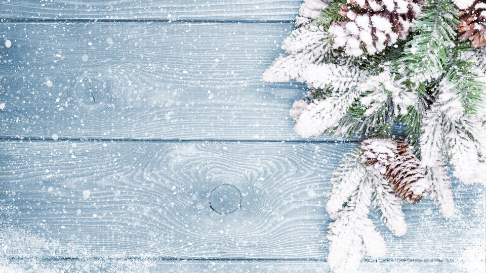 branch with pinecones and greenery on a wooden background
