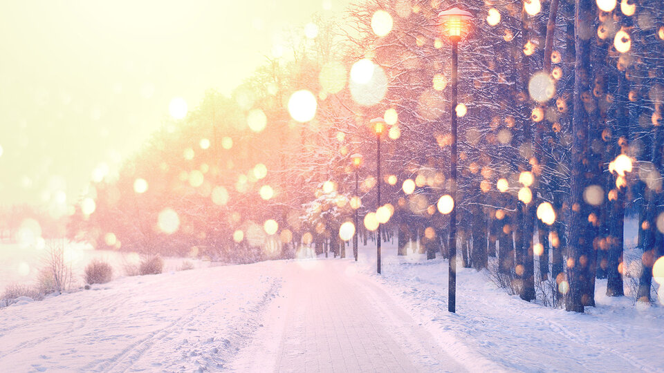 snow covered winter road edged by trees