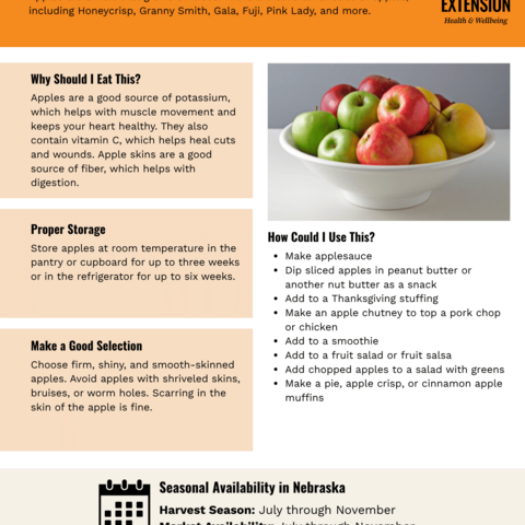 Handout - Apples