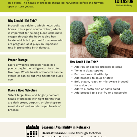 Handout - Broccoli