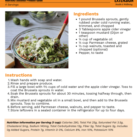 Handout - Brussels Sprouts - Brussels Sprouts Salad Recipe