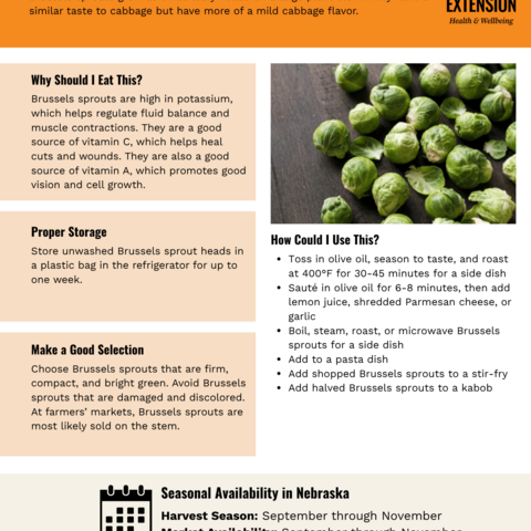 Handout - Brussels Sprouts