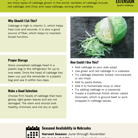 Handout - Cabbage