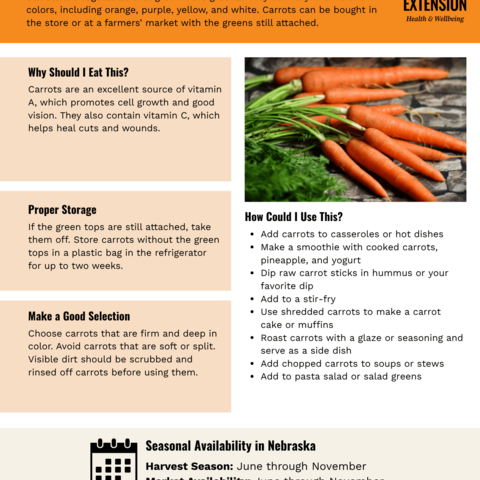 Handout - Carrots
