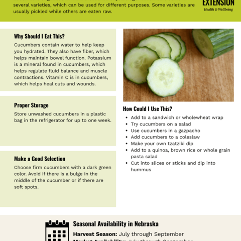 Handout - Cucumber