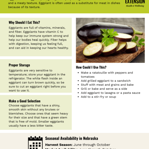 Handout - Eggplant
