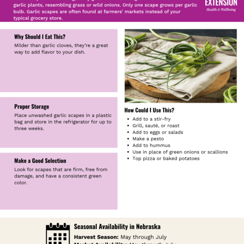 Handout - Garlic Scapes
