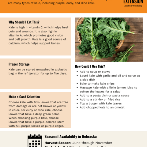 Handout - Kale