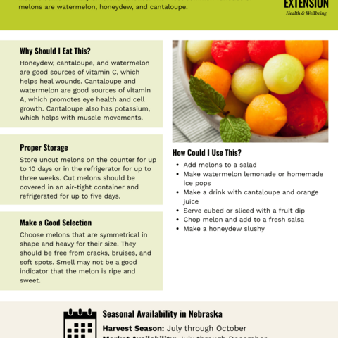 Handout - Melons