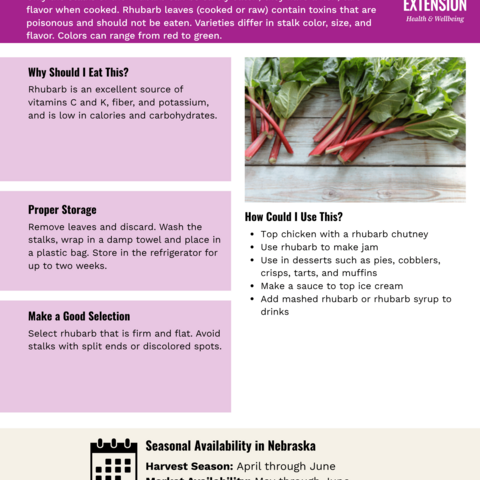 Handout - Rhubarb