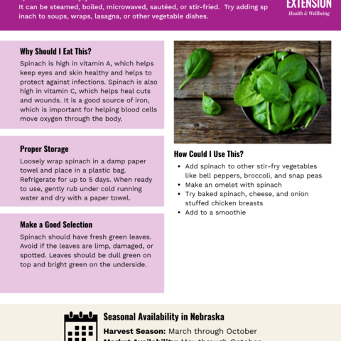 Handout - Spinach