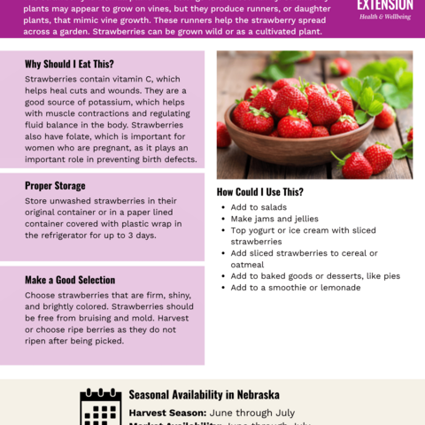 Handout - Strawberries