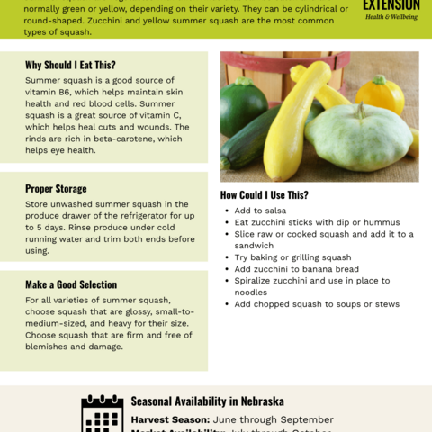 Handout - Summer Squash