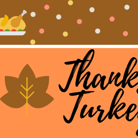 Thanksgiving Turkey Tips