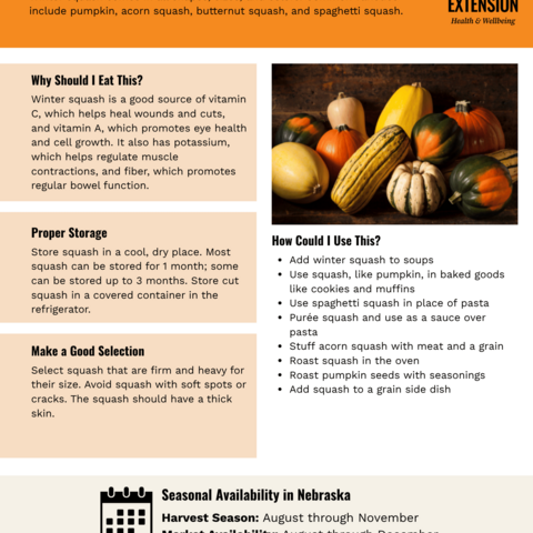 Handout - Winter Squash