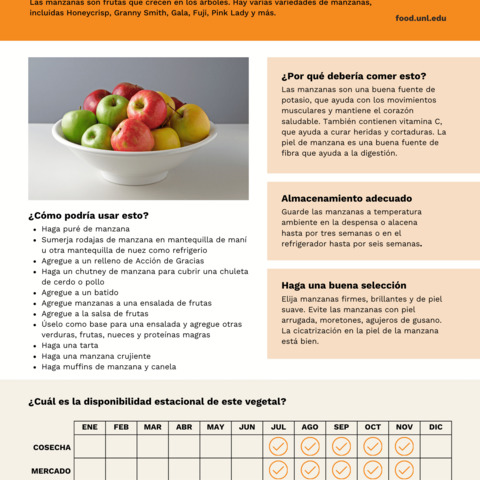 Handout - Apples - Spanish