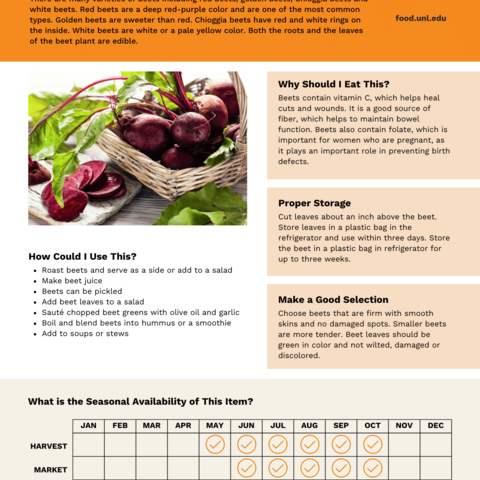 Handout - Beets