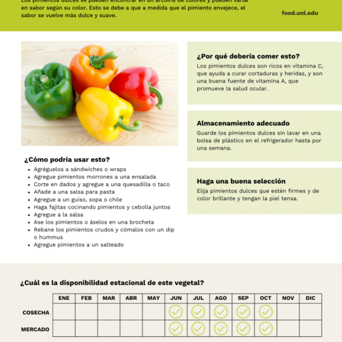 Handout - Bell Peppers - Spanish