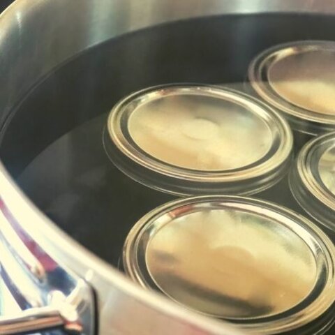 Processing Methods for Pickles