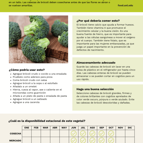 Handout - Broccoli - Spanish