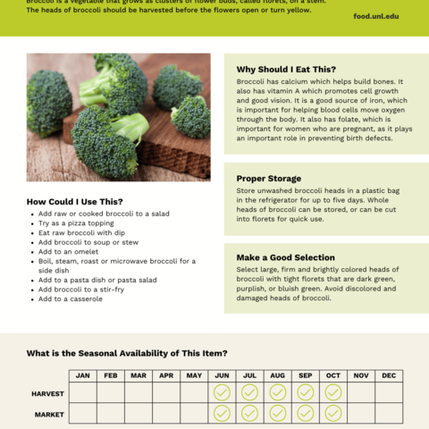 Handout - Broccoli