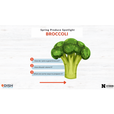 Broccoli Educational Carousel Slides - PDF