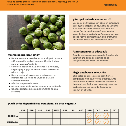 Handout - Brussels Sprouts - Spanish