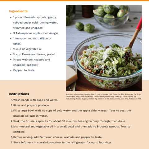 Handout - Brussels Sprouts - Brussels Sprouts Salad Recipe